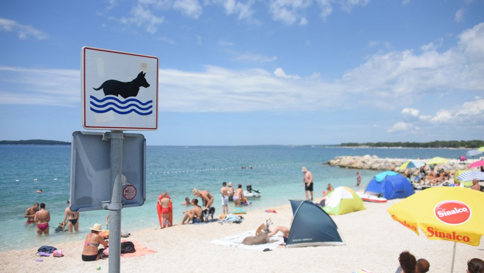 Dog friendly plaža Hidrobaza u Puli