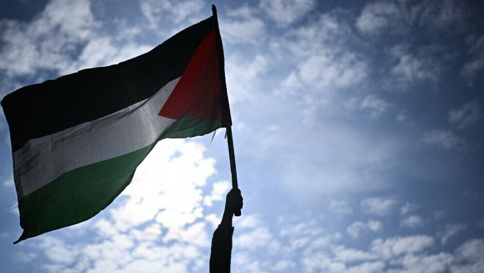 Zastava države Palestine, ilustracija