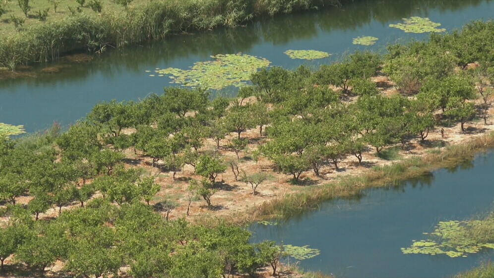 Neobičan ulov u Neretvi