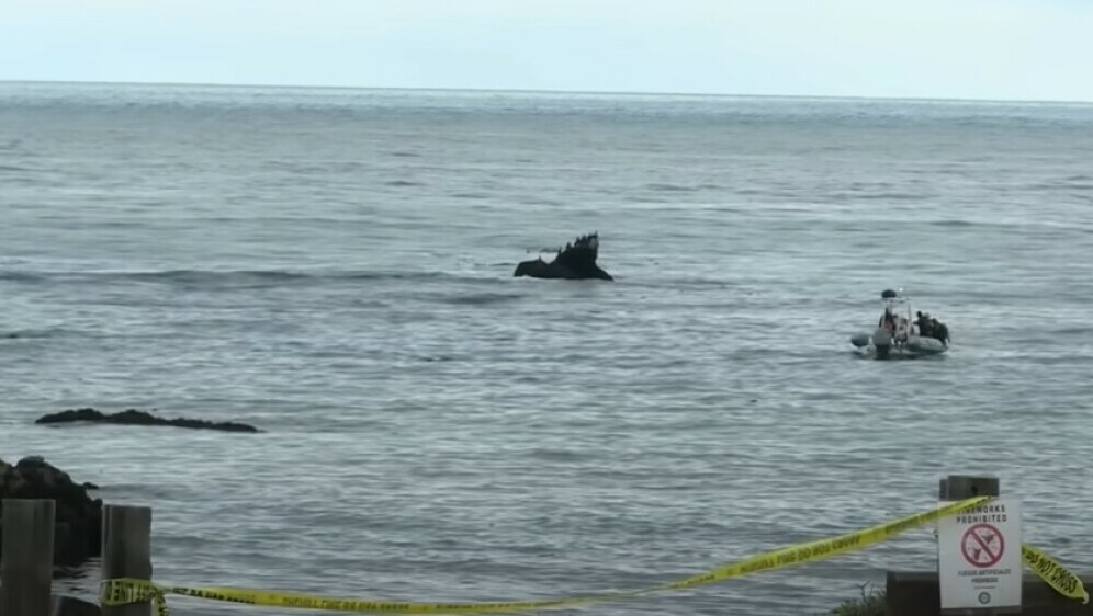 Potraga nakon avionske nesreće