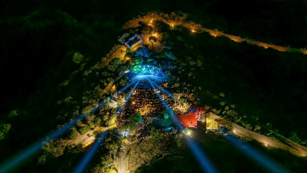 Sonic festival