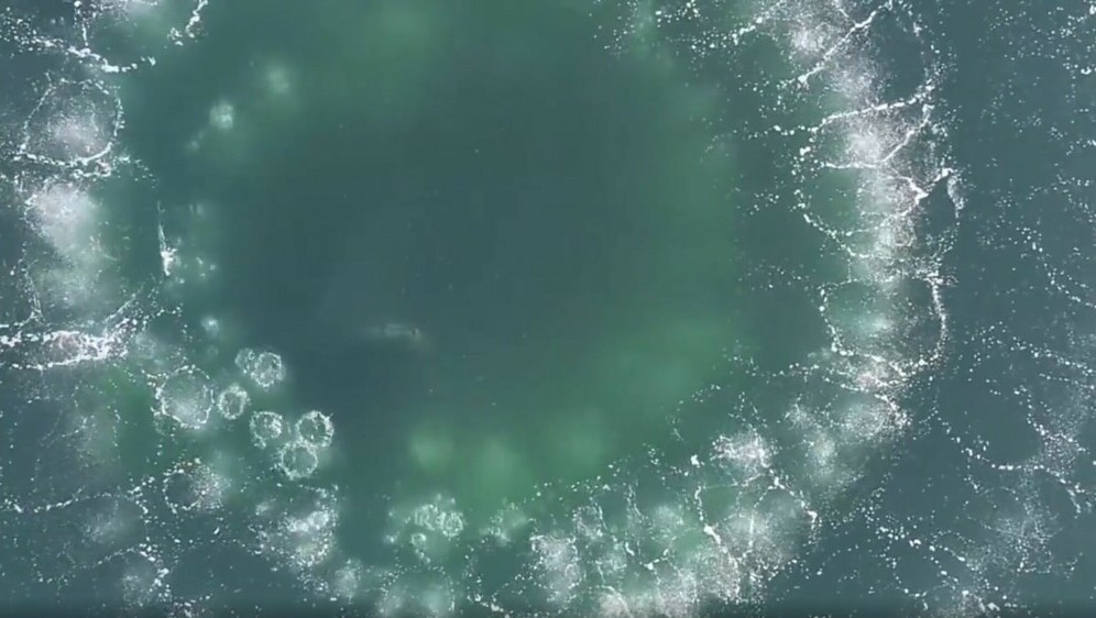 Metoda lova kitova u oceanu