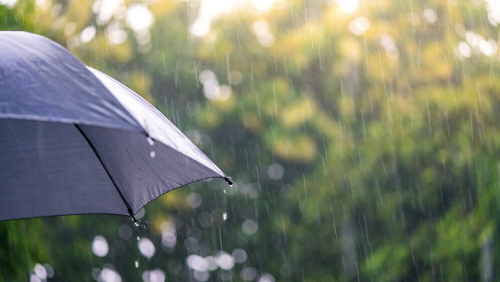 Kako se piše: promjenljiv ili promjenjiv