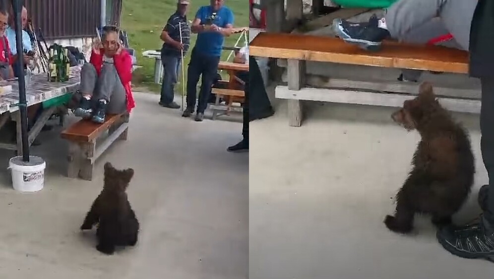 Medvjedić i planinari