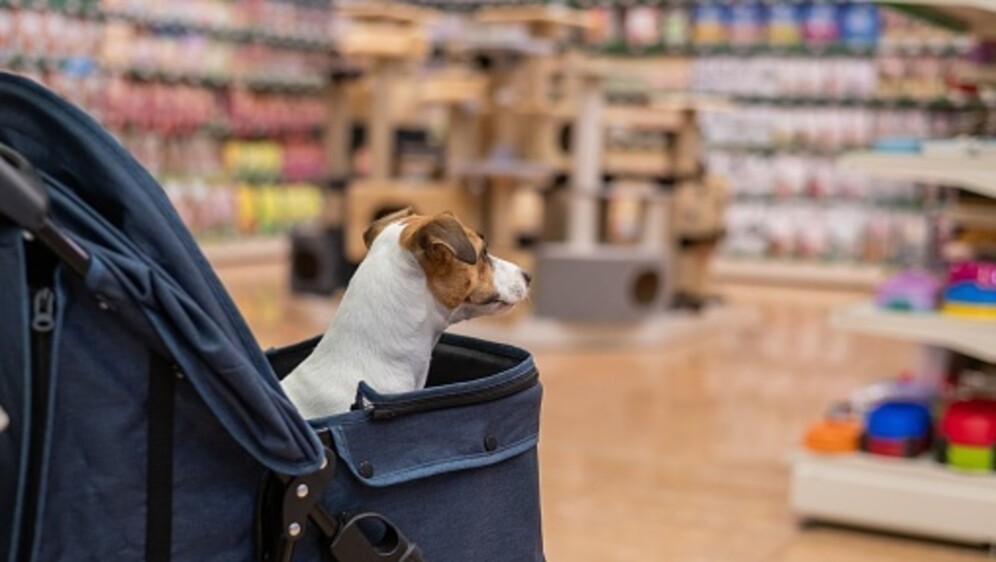 Pet shop