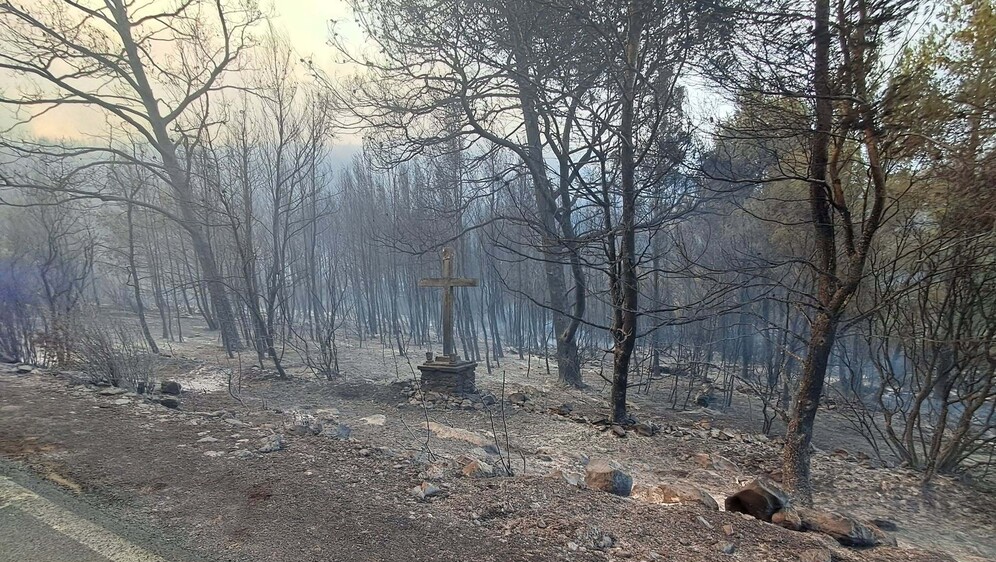 Posljedice požara na Korčuli