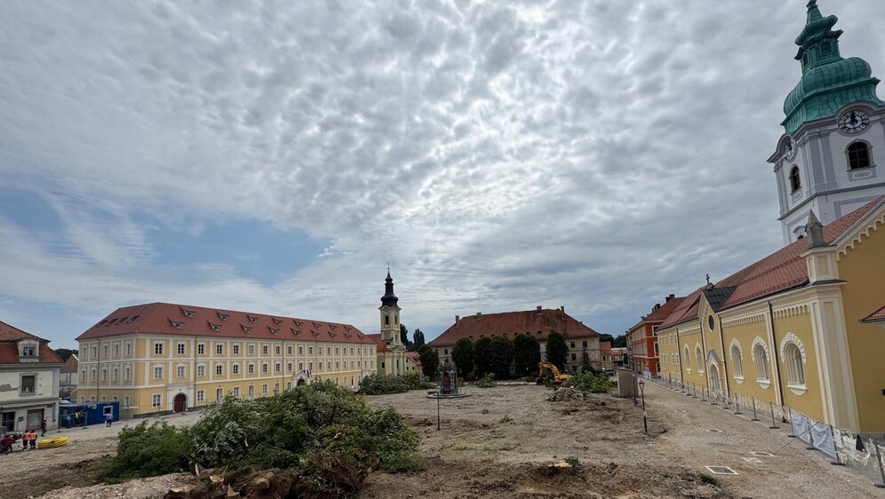 Srušena stabla lipa u Karlovcu - 2