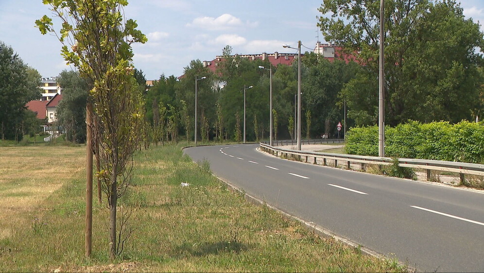 Alka Vuica - 2