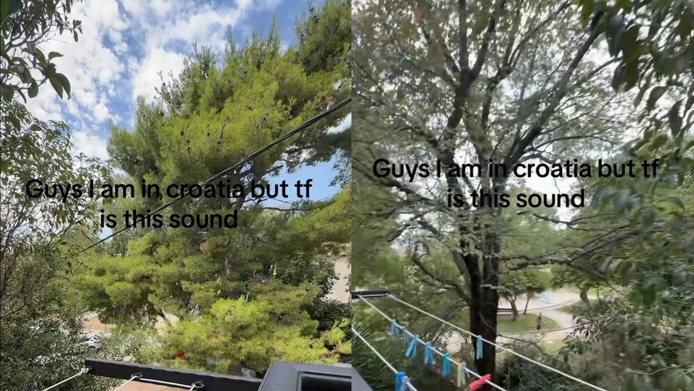 Pogled s balkona