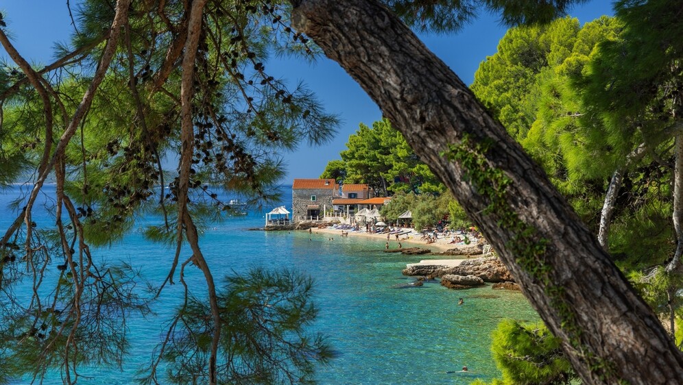 Ova plaža suprotnost je Zlatnom ratu