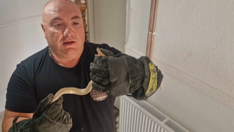 Uhvaćeni poskok