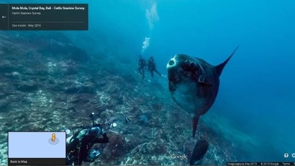 Uz Google Street View od sada možete istraživati i podvodni svijet oceana