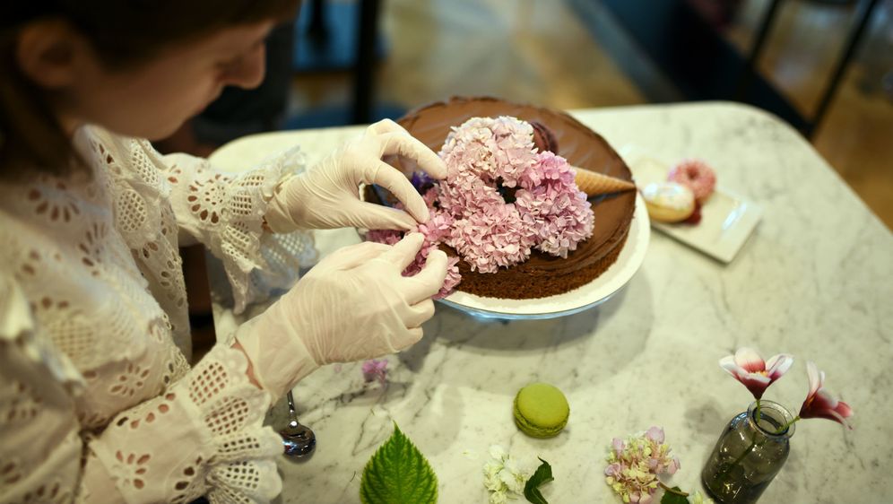 Torterie Macaron - 4