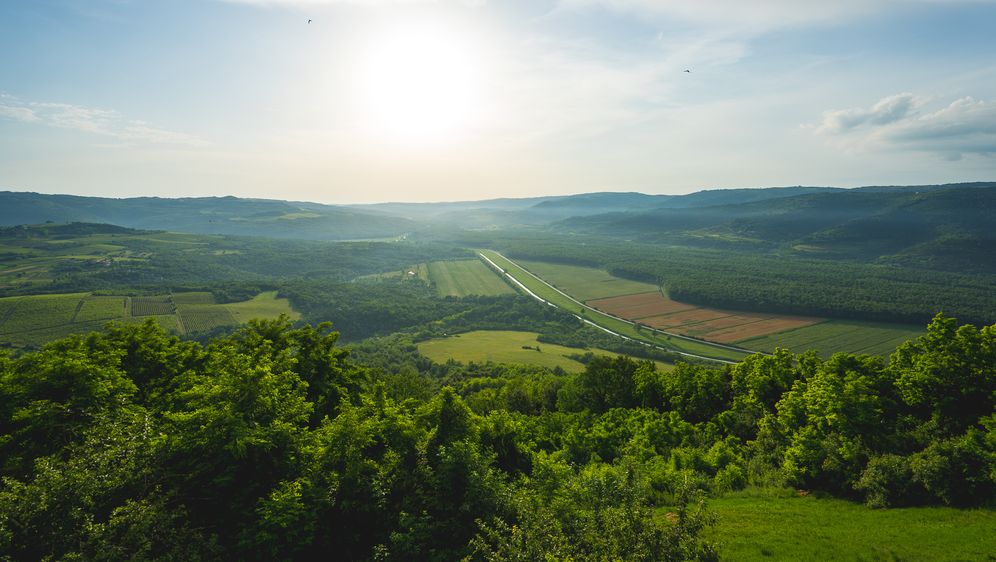 Pogled na dolinu rijeke Mirne, Motovun