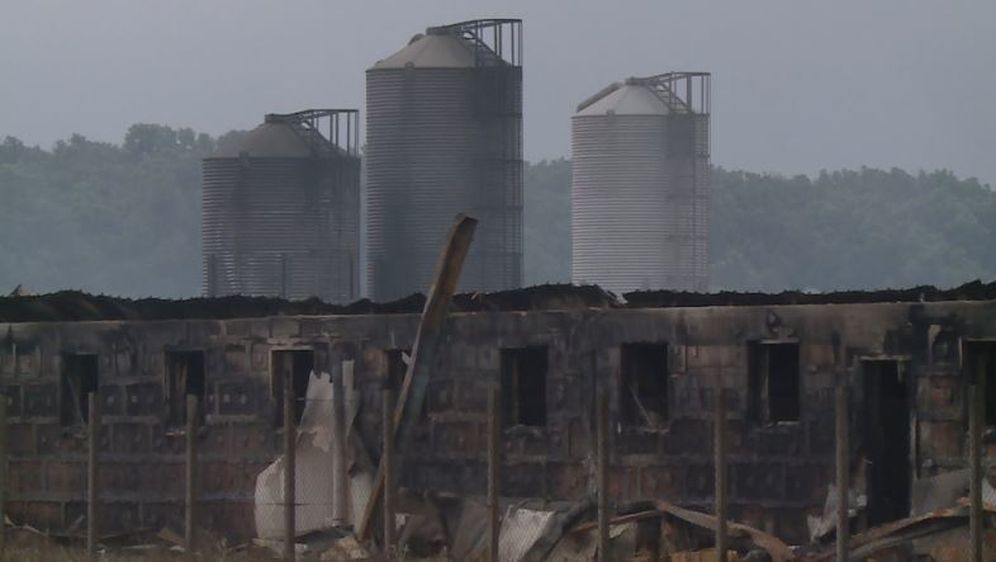 Izgorjela Agrokorova farma (Foto: Dnevnik.hr) - 3