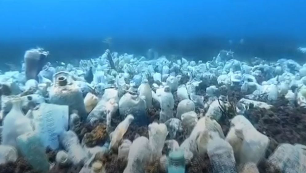 Molunat: Akcija čišćenja mora - 4