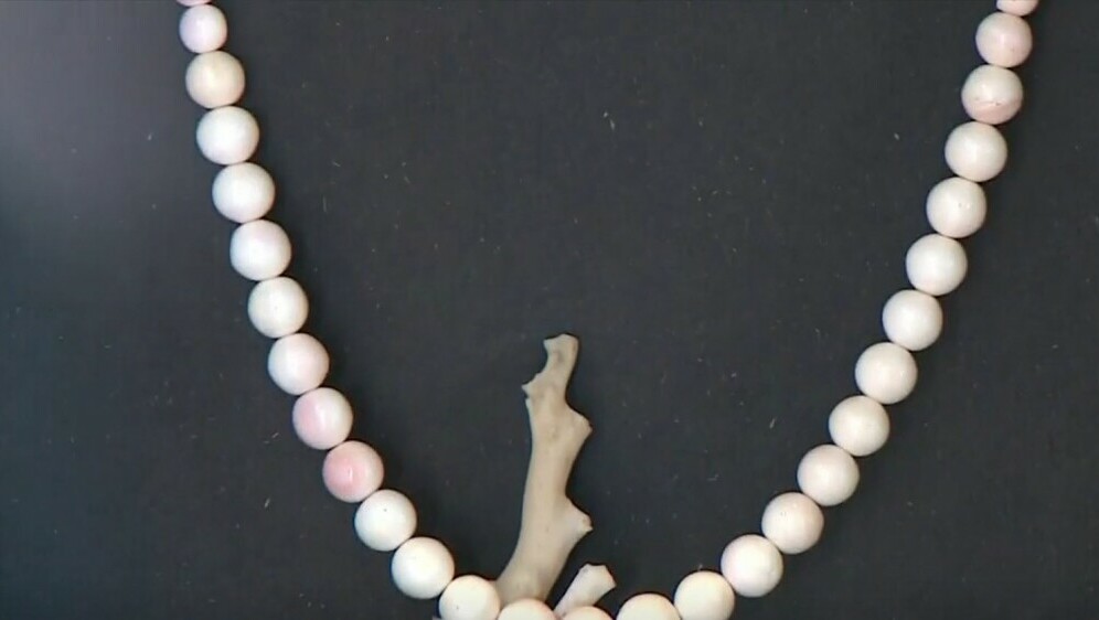 Otvoren Centar koralja na Zlarinu - 1