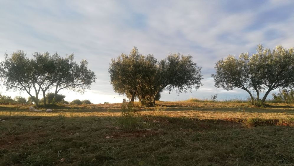 Festival usporenog putovanja - 2