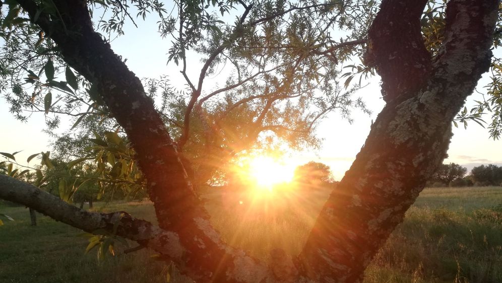 Festival usporenog putovanja - 4