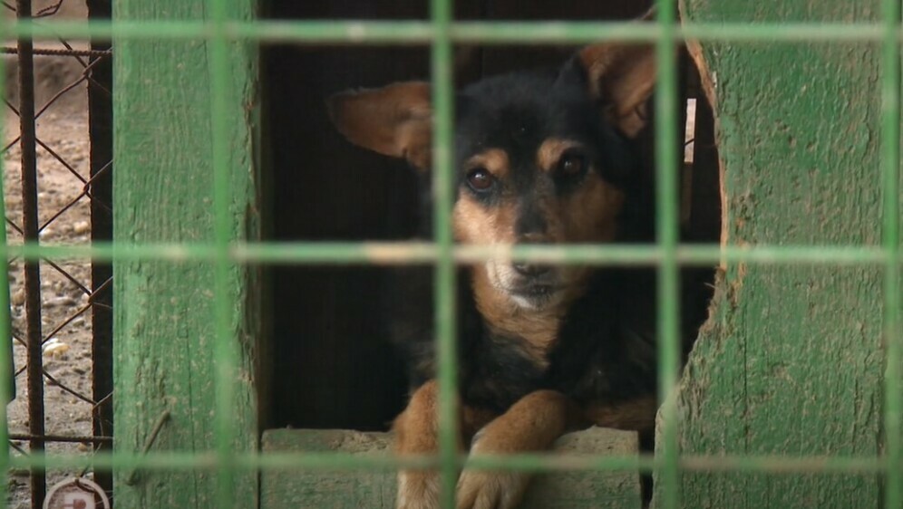 Provjereno: Poplava u bjelovarskom azilu - 2