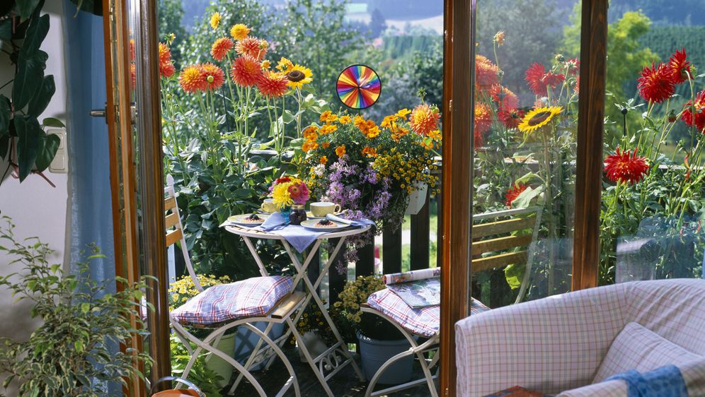 Balkon prepun šarenog cvijeća na kojem je provoditi vrijeme čista sreća
