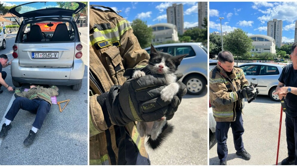 Vatrogasci spasili mačića