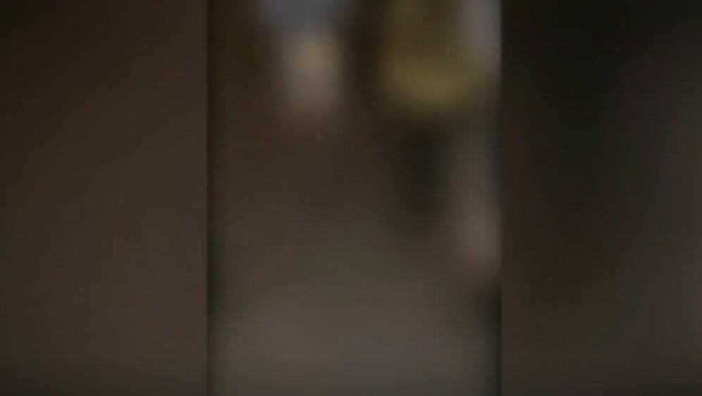 Provjereno: maloljetnik zlostavlja mačku - 5