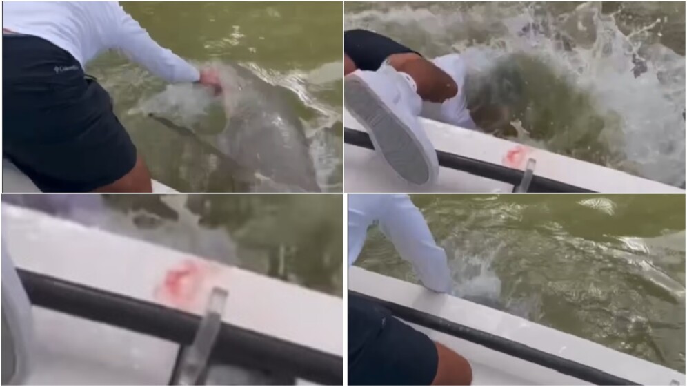 Napad morskog psa u nacionalnom parku na Floridi