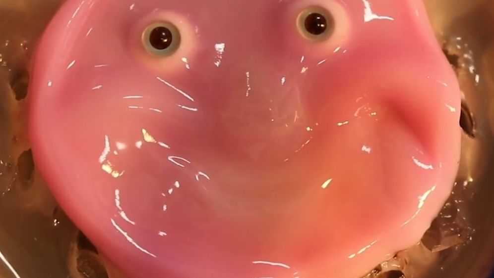 Nasmijano robotsko lice od žive ljudske kože