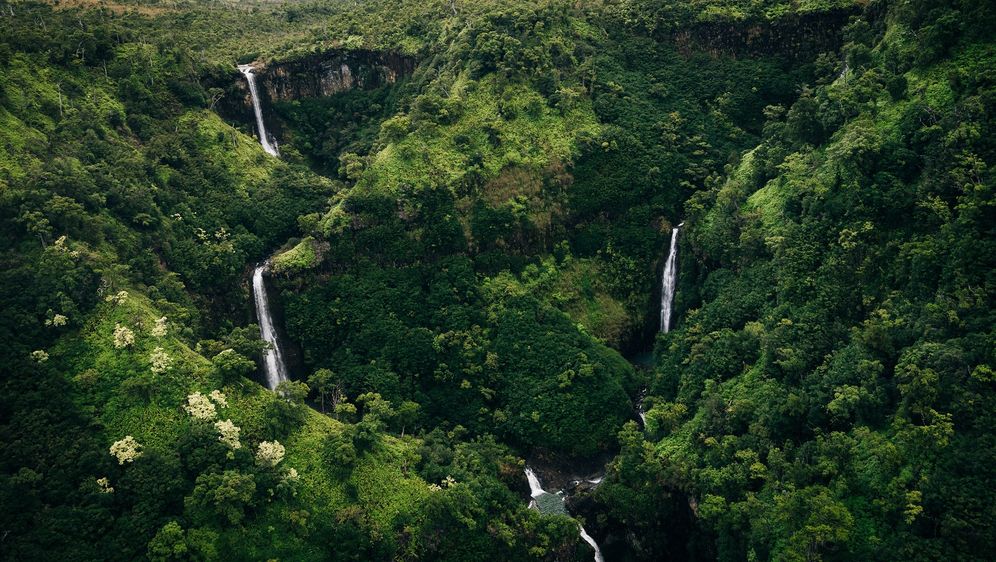 Planina Wai'ale'ale na havajskom otoku Kauai - 1