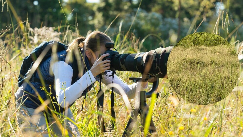 Fotograf u prirodi i mladunče lava skriveno u visokoj travi
