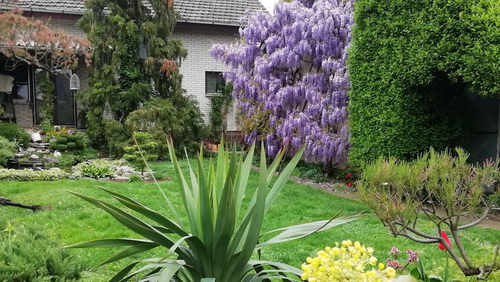 Vrt Branke Markovanović iz Čepina izgleda poput najljepšeg raja
