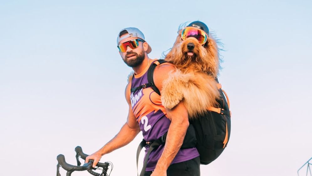 Ogroman goldendoodle Brodie ima 1,8 milijuna pratitelja na Instagramu