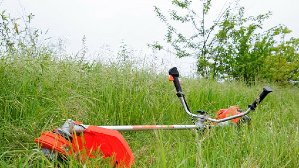 Trimer za travu, ilustracija