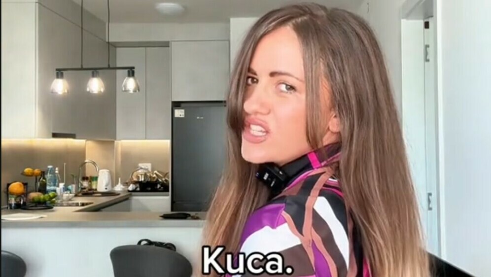 Nina Čudić