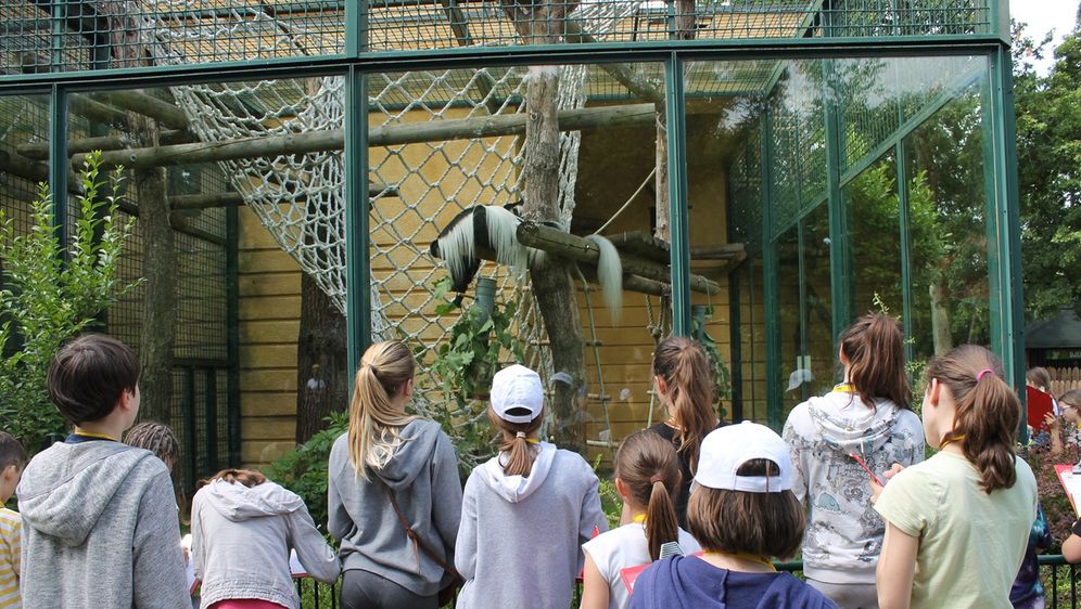 Tijekom ljetnih školskih praznika u Zoološkom vrtu Grada Zagreba održava se Divlje ljeto