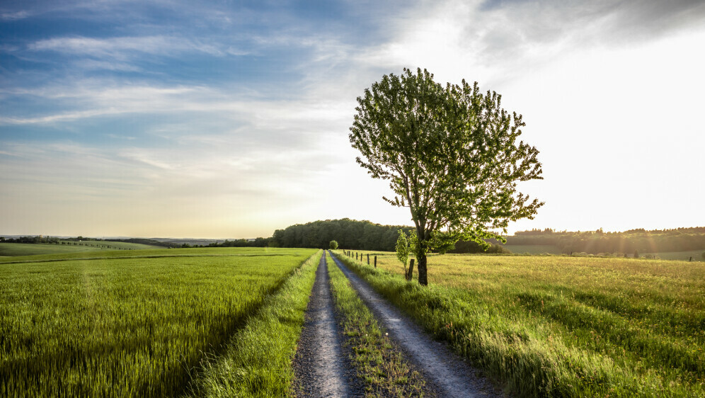 Kako se piše: putovi ili putevi