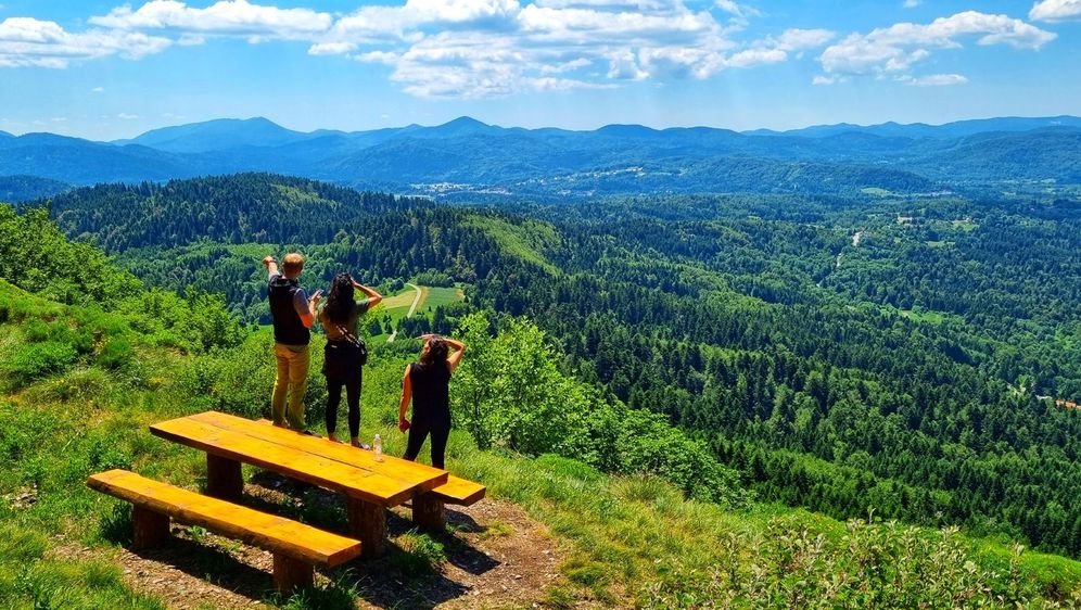 Gorski kotar s Lynx and Fox - 2