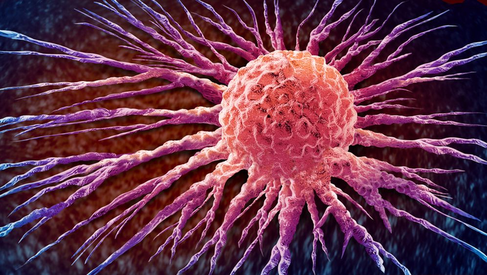 Širenje stanica raka