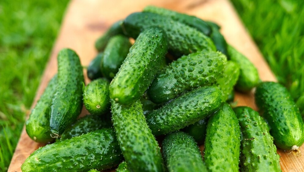 Krastavci