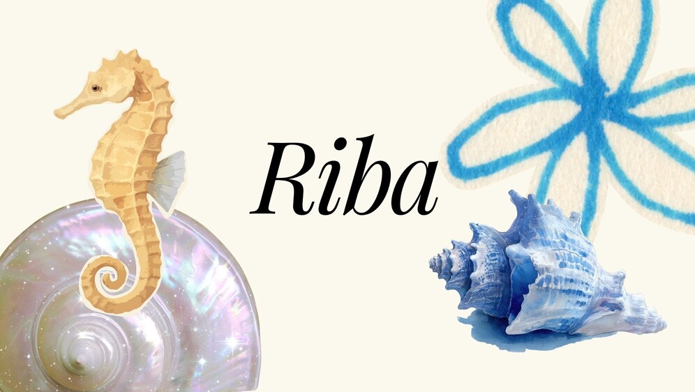 Ribe