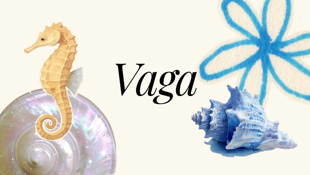 Vaga