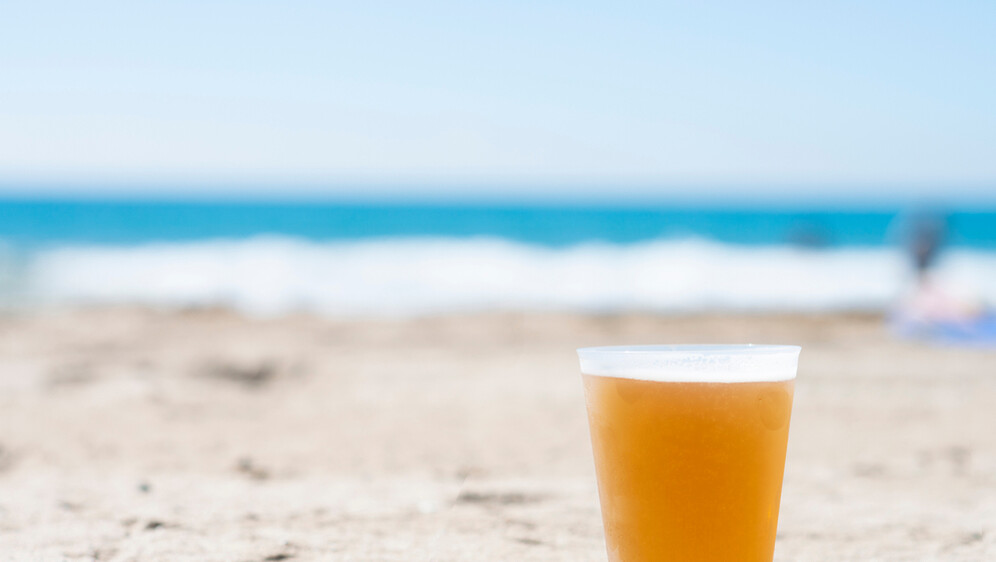 Pivo