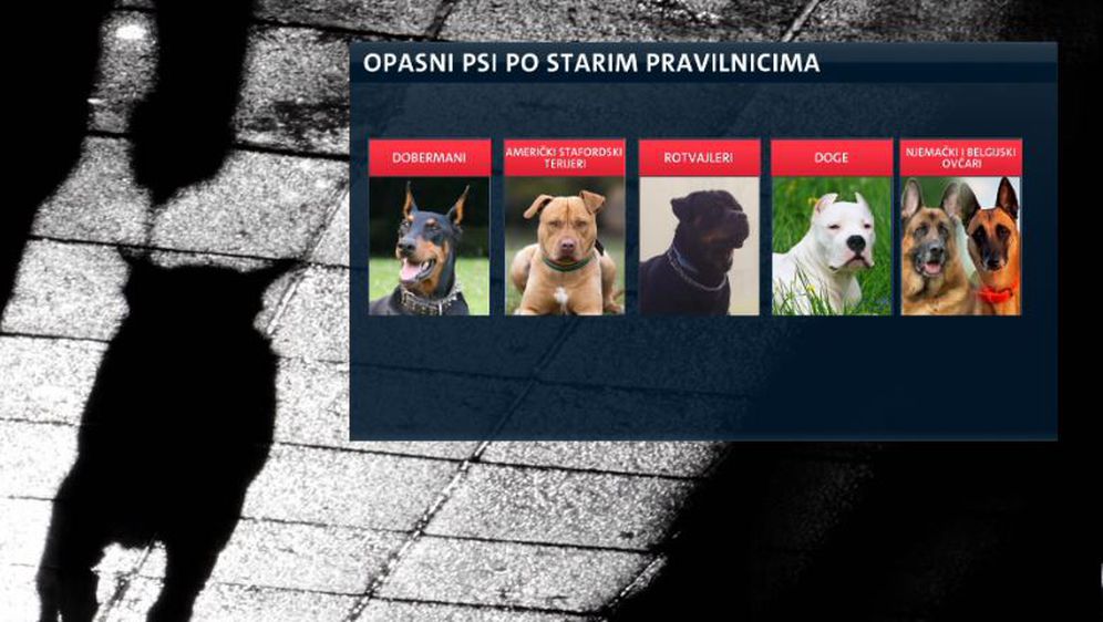 Opasni psi (Foto: Dnevnik.hr)