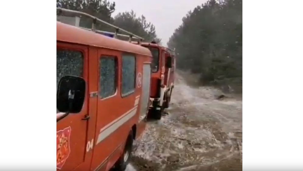 Vatrgoasci gase požar kod Sutina (Foto: Screenshot Dalmacija danas)