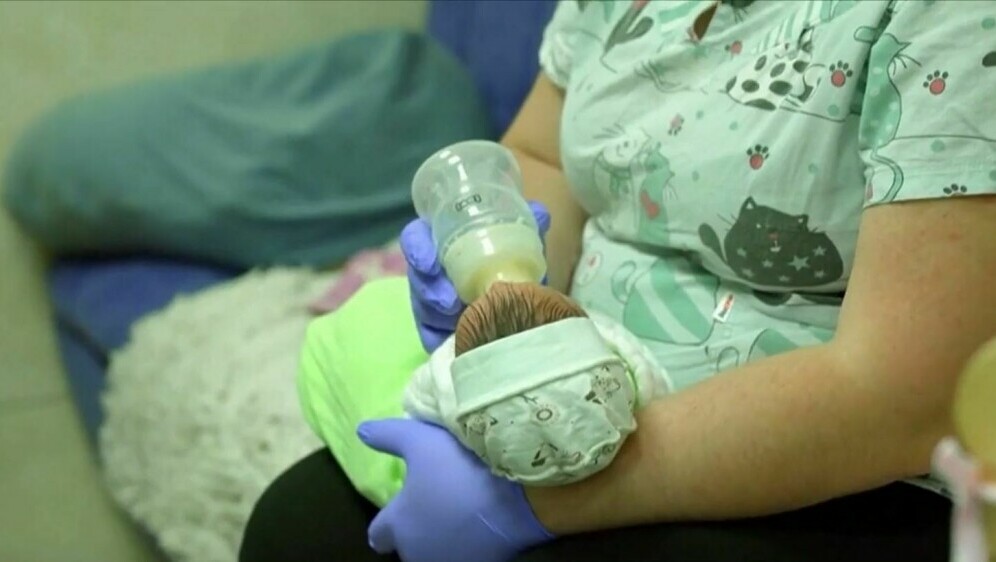 Bebe surogat-majki u Ukrajini - 1