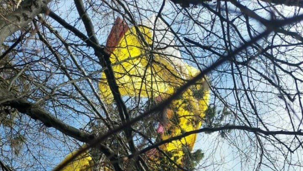 HGSS spašavao paraglajdera koji je pao na drvo - 1