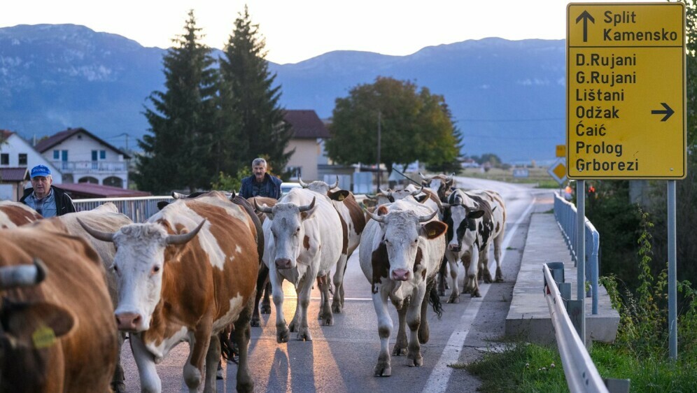 Stočarstvo u Hrvatskoj