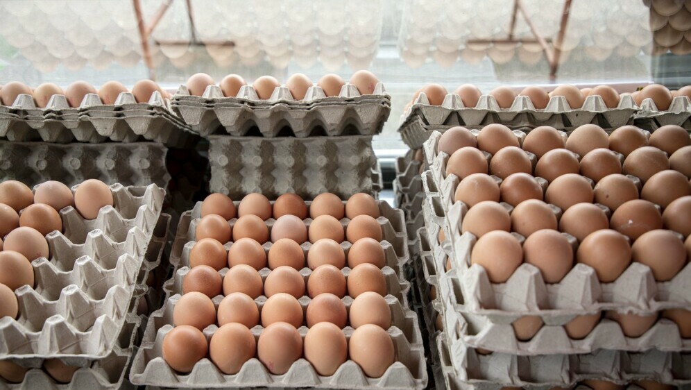 Jaja na tržnicama - 13