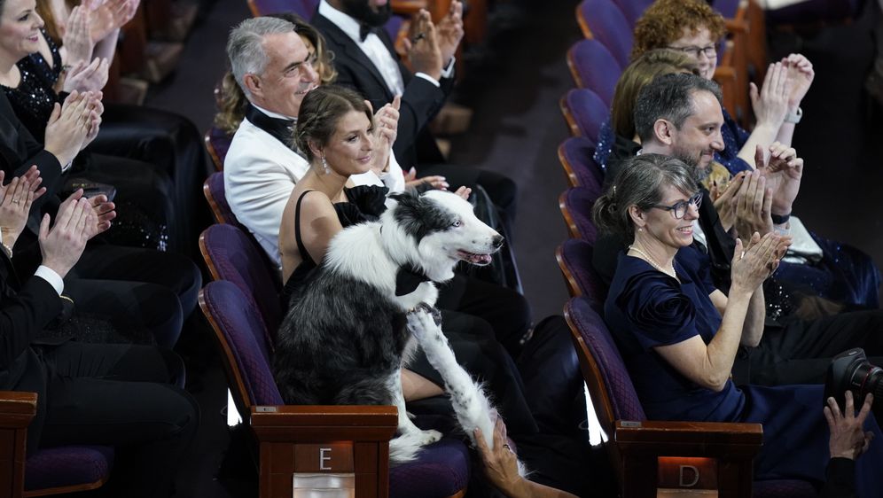 Pas Messi iz filma 'Anatomija pada' dobitnik je Palm Dog nagrade koja se dodjeljuje iznimnim filmskim psećim ostvarenjima